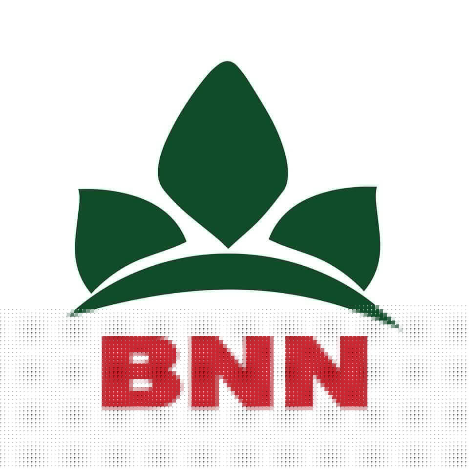 Savanah Lao Logo